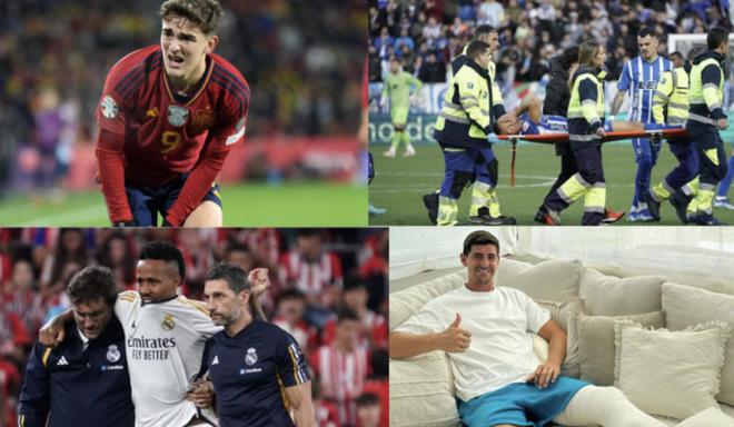 拥有丰富的 拥有丰富的